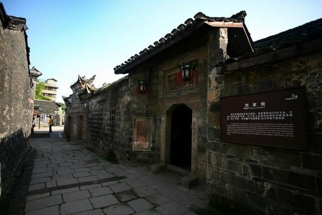 探寻奇趣无限,畅享仙人球浇水过多,从根部开始烂了怎么办?还能活么问答乐趣